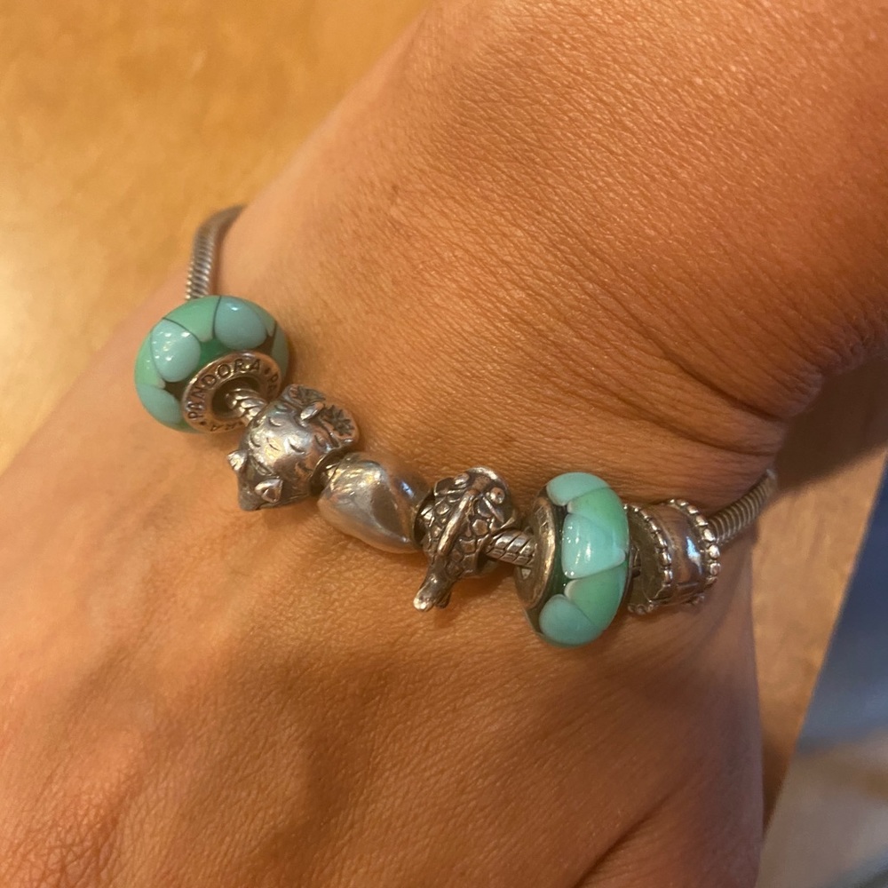 Pandora bracelet with charms
